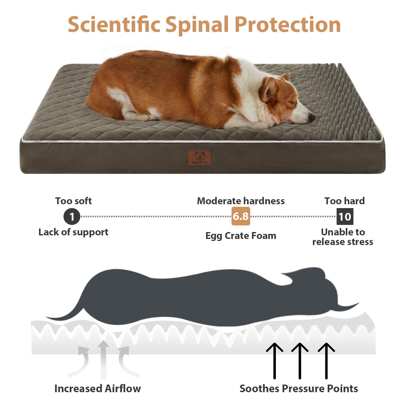 WNPETHOME — Cama Ortopédica Impermeable con Funda Lavable y Base Antideslizante para Perro