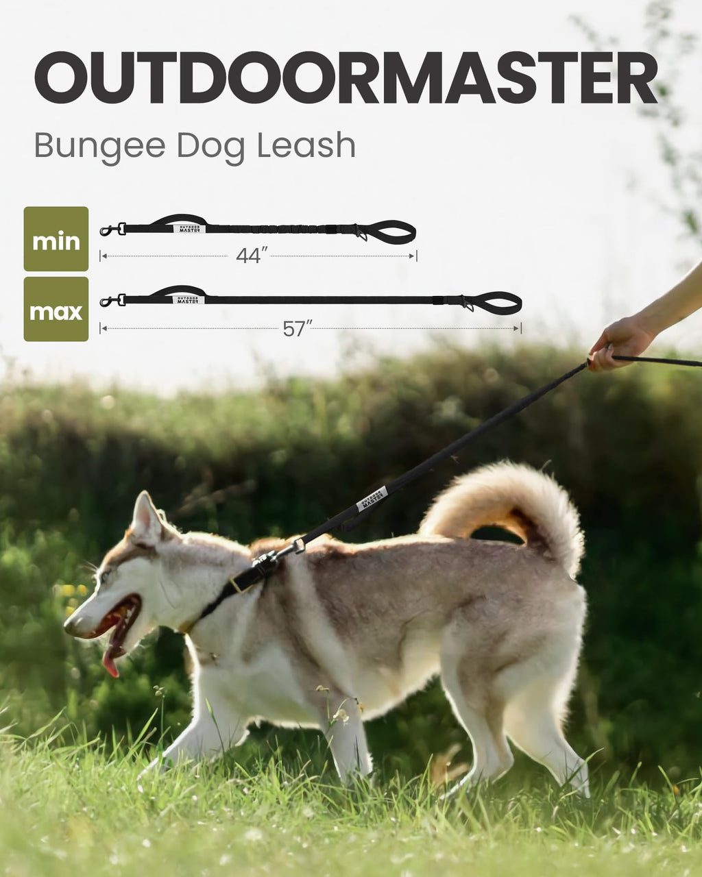 OutdoorMaster Bungee — Correa Elástica con Doble Mango Acolchado y Mosquetón 360° para Perro