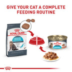 Royal Canin Feline Care Nutrition Urinary Care — Alimento Húmedo para Gatos Adultos en Rodajas Delgadas en Salsa, 85g (Pack de 6)