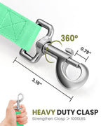 OutdoorMaster Bungee — Correa Elástica con Doble Mango Acolchado y Mosquetón 360° para Perro