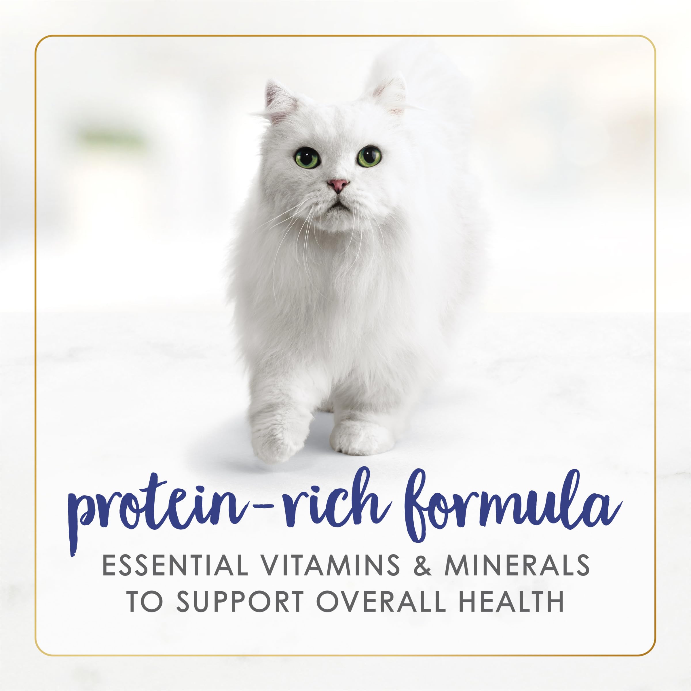 Purina Fancy Feast Alimento Húmedo para Gatos Adultos Sabor Pescado y Camarón en Hojuelas — Paquete de 24 Latas de 85g