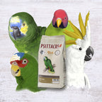 Psittacus High Protein — Dieta Completa en Pellets para Amazonas, Cacatúas y Cotorras de Collar