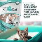 KIT4CAT CheckUp — Kit de Análisis de Orina en Casa para Gato | Arena Hidrofóbica + 2 Tiras Reactivas para 10 Parámetros