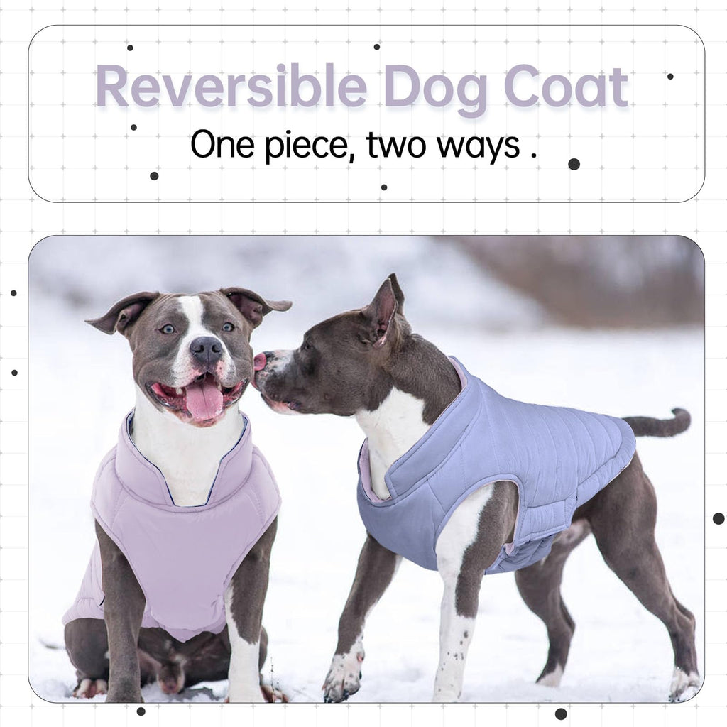 Lelepet — Chamarra Reversible Acolchada para Perro, Resistente al Viento y Agua, para Perros Pequeños