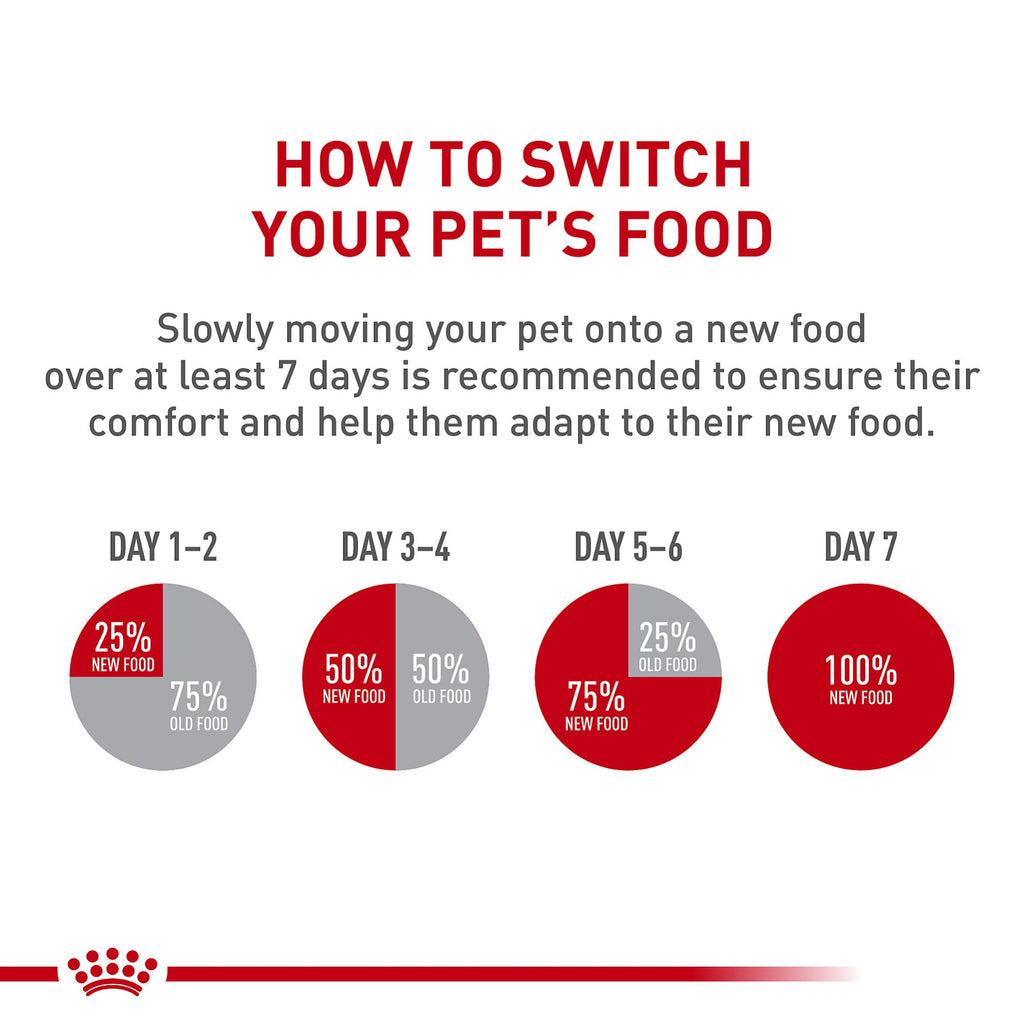Royal Canin Feline Care Nutrition Urinary Care — Alimento Húmedo para Gatos Adultos en Rodajas Delgadas en Salsa, 85g (Pack de 6)