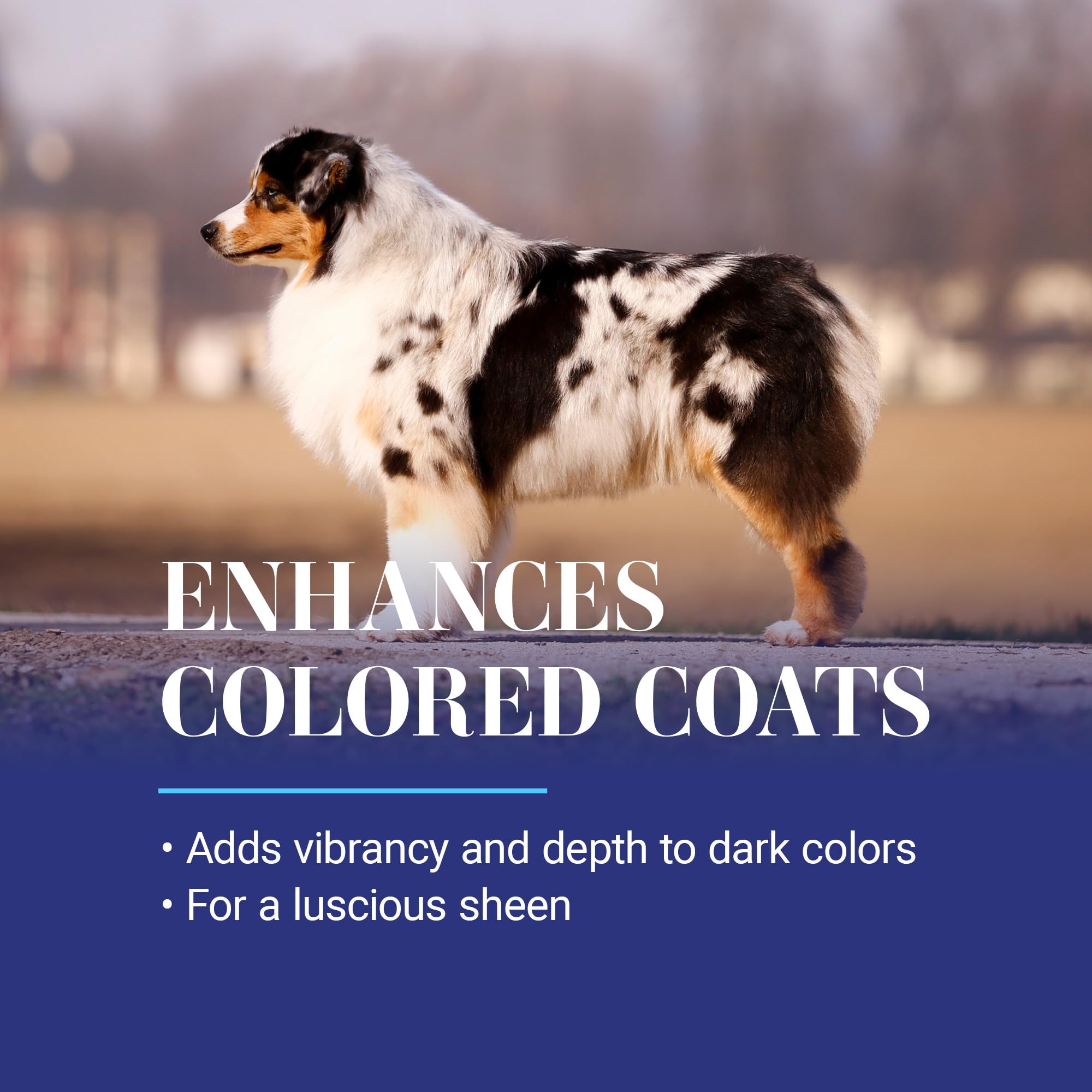 Chris Christensen White on White — Shampoo Blanqueador y Tratamiento Óptico Intensificador para Perros