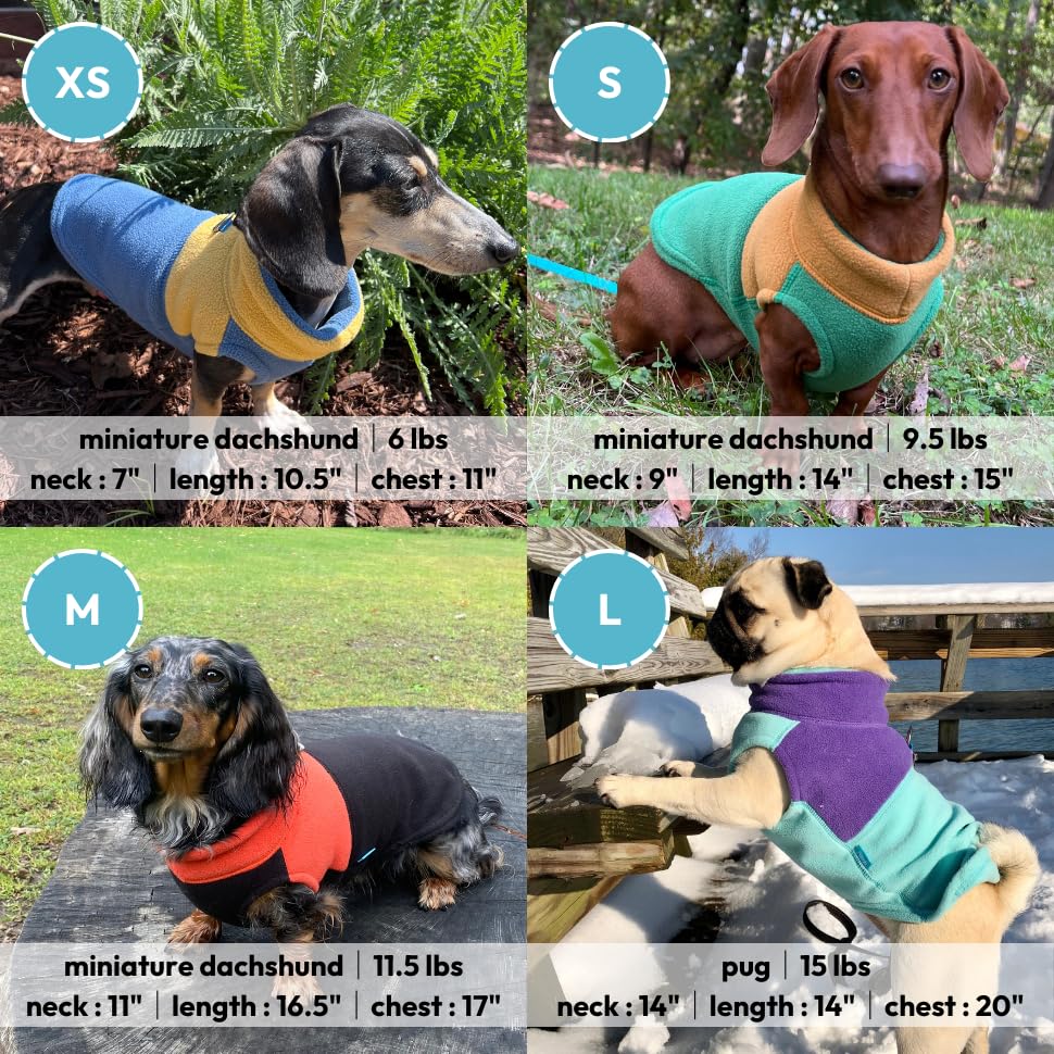 Gooby Fleece Vest Two Tone — Chaleco de Polar Suave Bicolor con Anillo Metálico para Correa, para Perros Pequeños y Medianos
