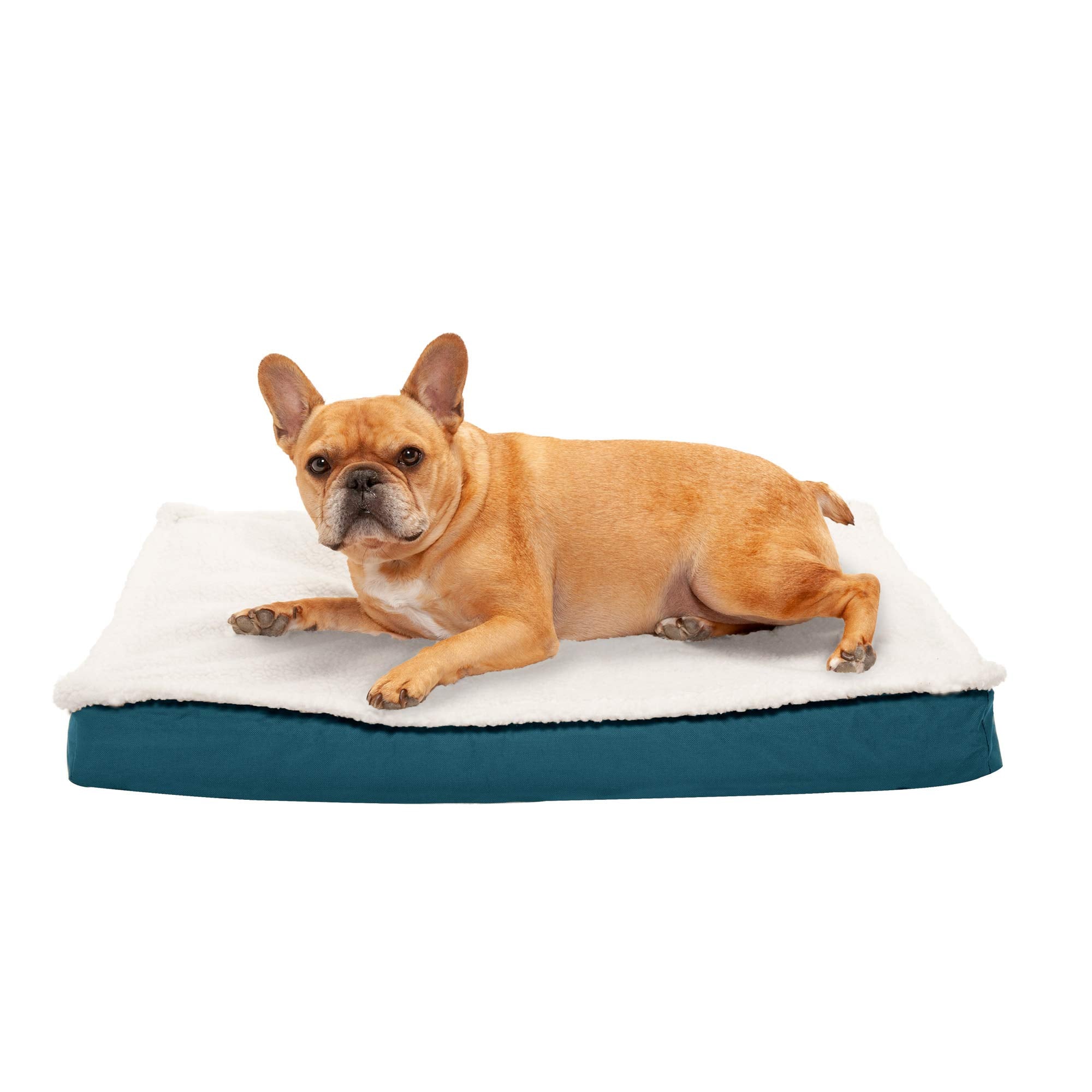 Furhaven — Cama Ortopédica con Cubierta Lavable y Desmontable para Perro