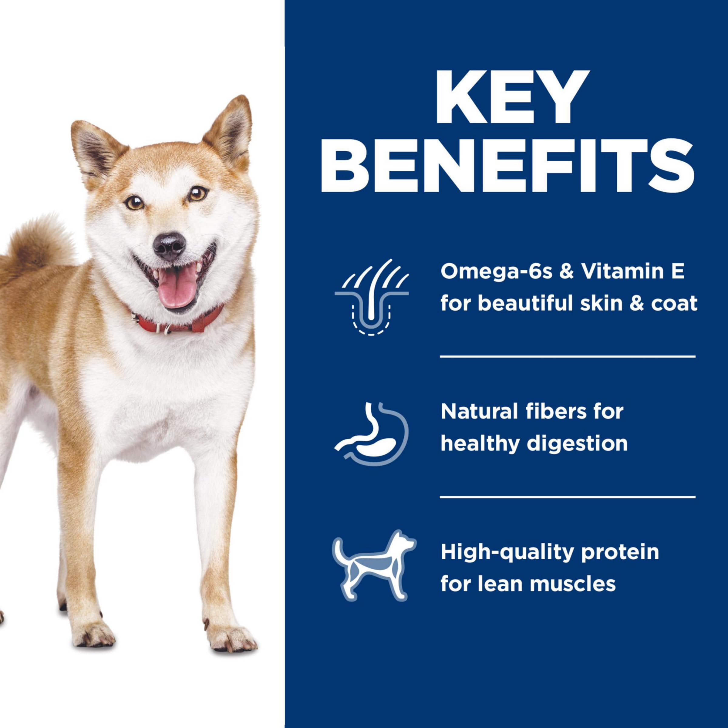 Hill's Science Diet Adult — Croquetas con Proteína de Alta Calidad para Perro Adulto