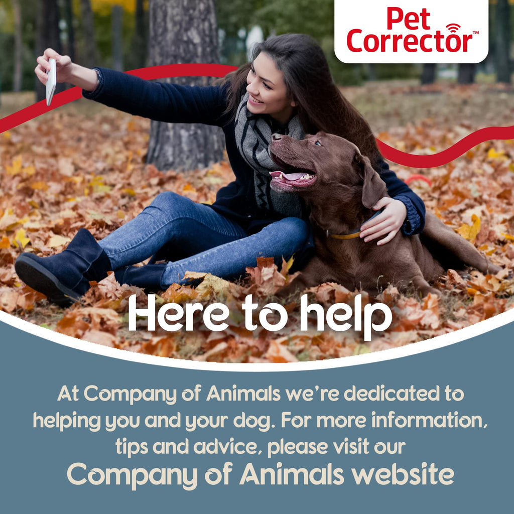 Pet Corrector Entrenador para Perros 50ml — Corrige Ladridos, Saltos, Agresión y Conductas No Deseadas de Forma Segura y Humana