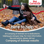 Pet Corrector Entrenador para Perros 50ml — Corrige Ladridos, Saltos, Agresión y Conductas No Deseadas de Forma Segura y Humana