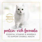 Purina Fancy Feast Paté Húmedo para Gatos Senior 7+ Años con Pollo Real — Paquete de 24 Latas de 85g