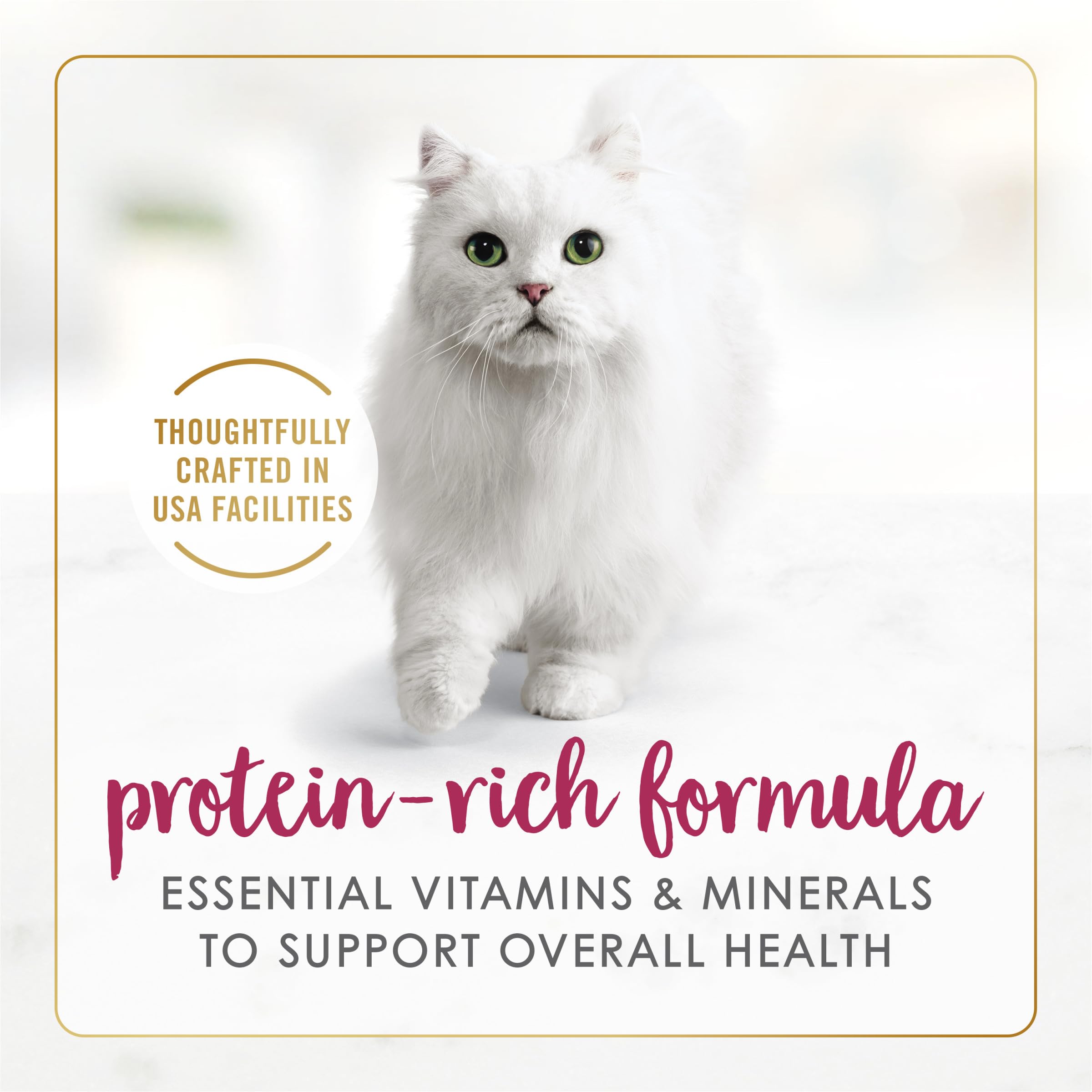 Purina Fancy Feast Paté Húmedo para Gatos Senior 7+ Años con Pollo Real — Paquete de 24 Latas de 85g