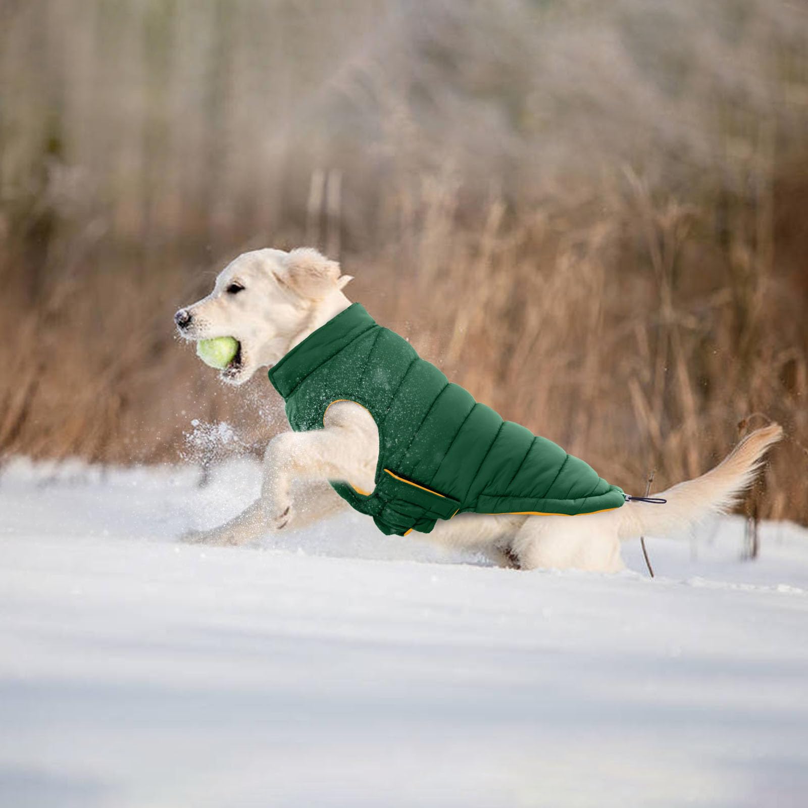 Lelepet — Chamarra Reversible Acolchada para Perro, Resistente al Viento y Agua, para Perros Pequeños