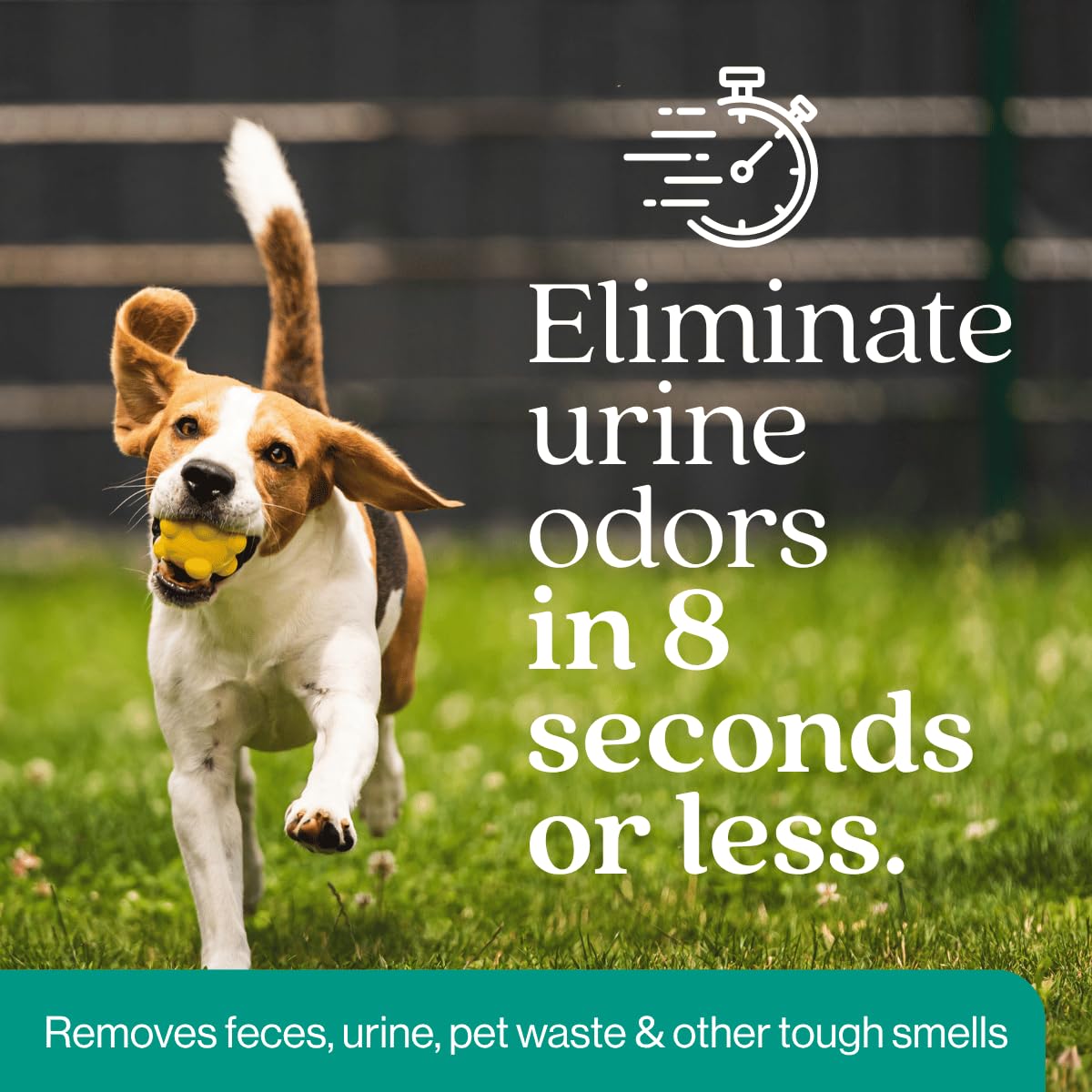 Eliminador de Olores para Exteriores — Limpiador Enzimático de Orina de Perro y Mascotas para Jardín, Patio, Césped Artificial, Kennel y Terraza