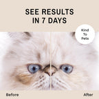 Eye Envy Tear Stain Remover Solution — Solución Removedora de Manchas de Lágrimas para Gatos