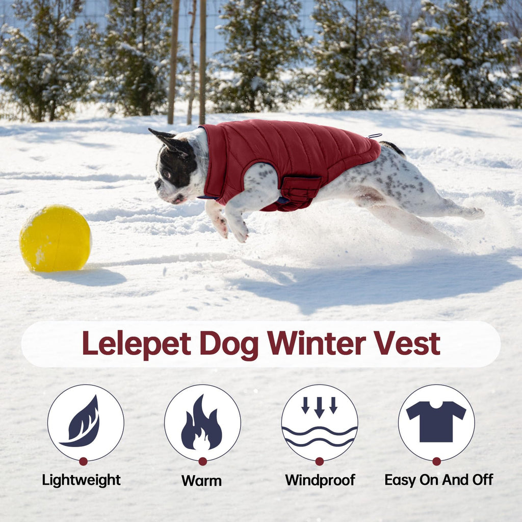 Lelepet — Chamarra Reversible Acolchada para Perro, Resistente al Viento y Agua, para Perros Pequeños