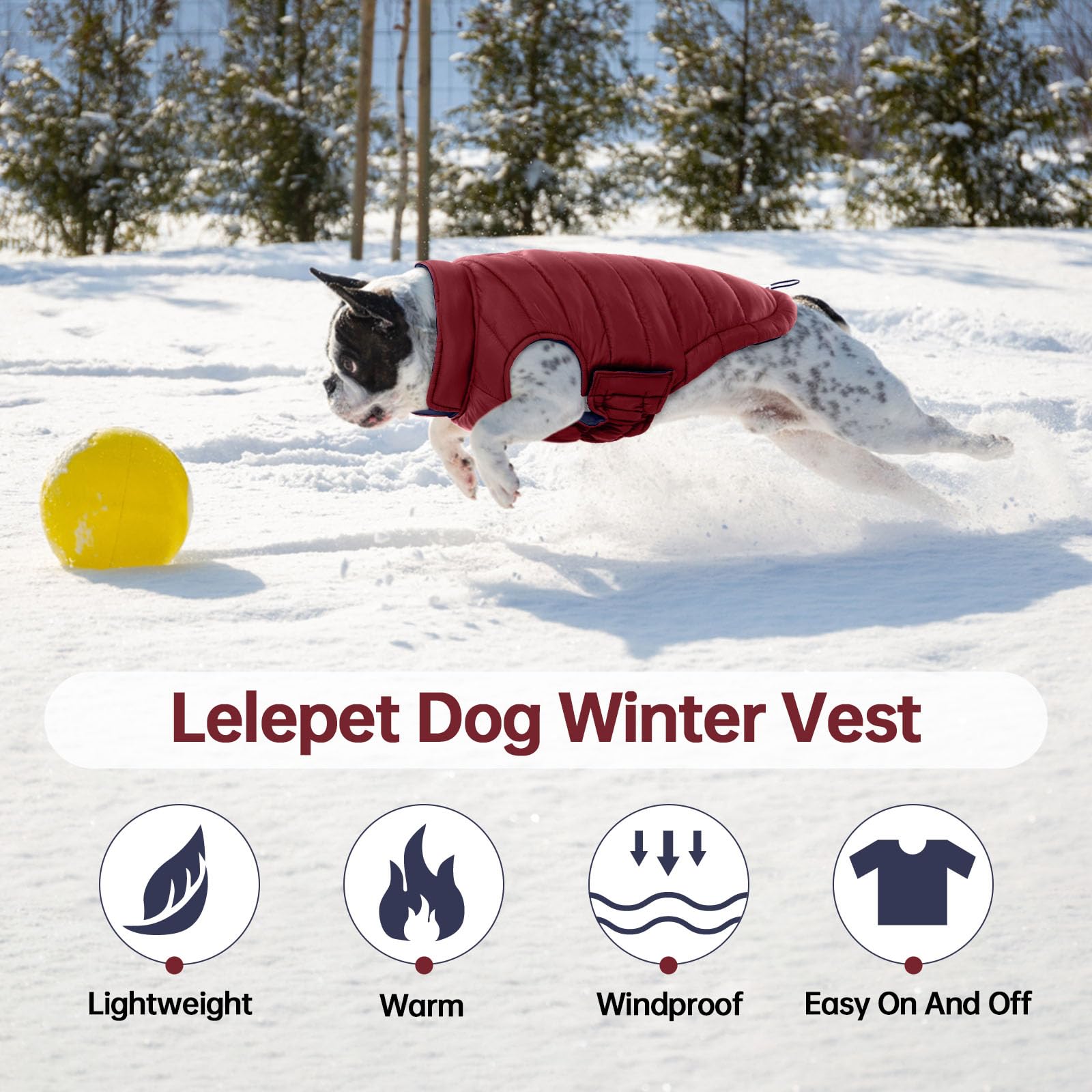 Lelepet — Chamarra Reversible Acolchada para Perro, Resistente al Viento y Agua, para Perros Pequeños