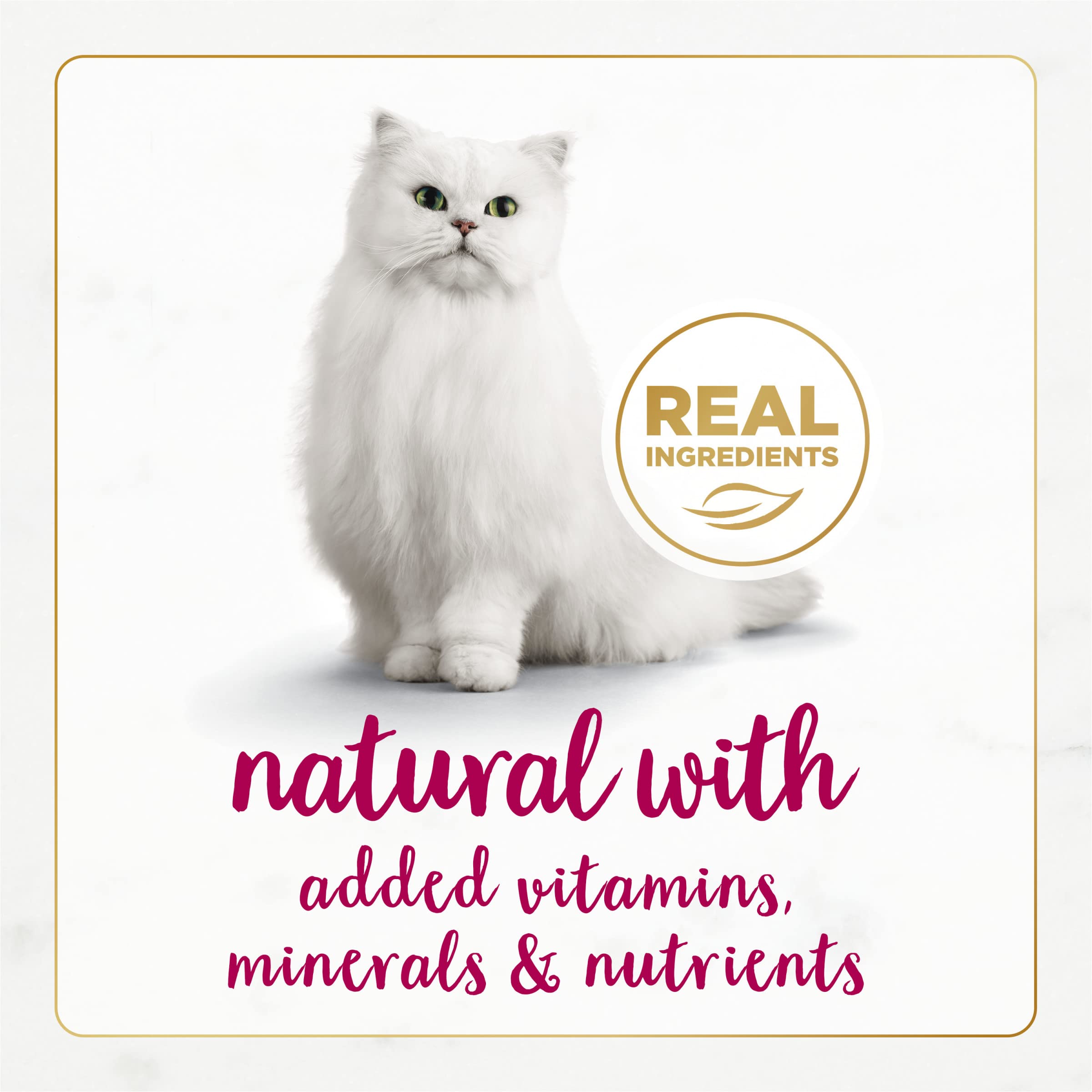 Fancy Feast Purina Medleys — Alimento Húmedo Gourmet para Gatito