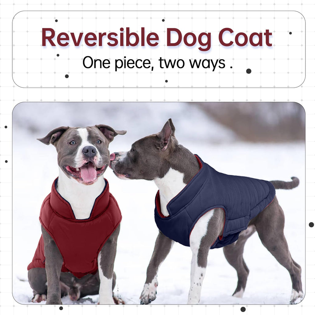 Lelepet — Chamarra Reversible Acolchada para Perro, Resistente al Viento y Agua, para Perros Pequeños