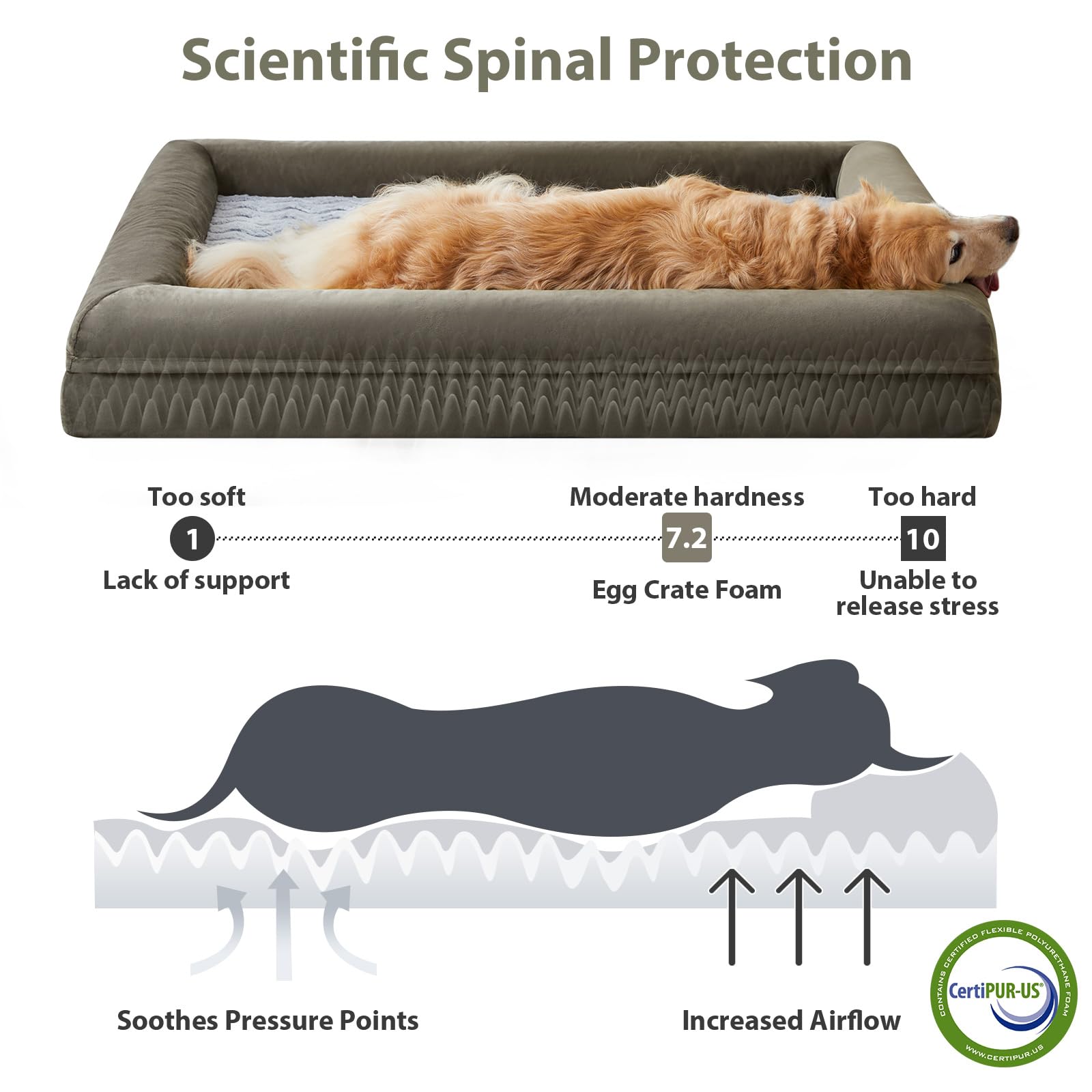 WNPETHOME — Cama Ortopédica Sofá para Perro XL con Cubierta Extraíble Impermeable y Bordes Acolchados