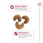 Royal Canin French Bulldog Puppy — Croquetas Especializadas para Cachorros de Bulldog Francés
