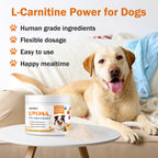 Suplemento de L-Carnitina para Perros — Tratamiento Natural para Lipomas, Reduce Bultos y Bolas de Grasa, Mejora el Metabolismo de Grasas, Aumenta Energía y Vitalidad, Apoya la Salud Muscular y el Bienestar General