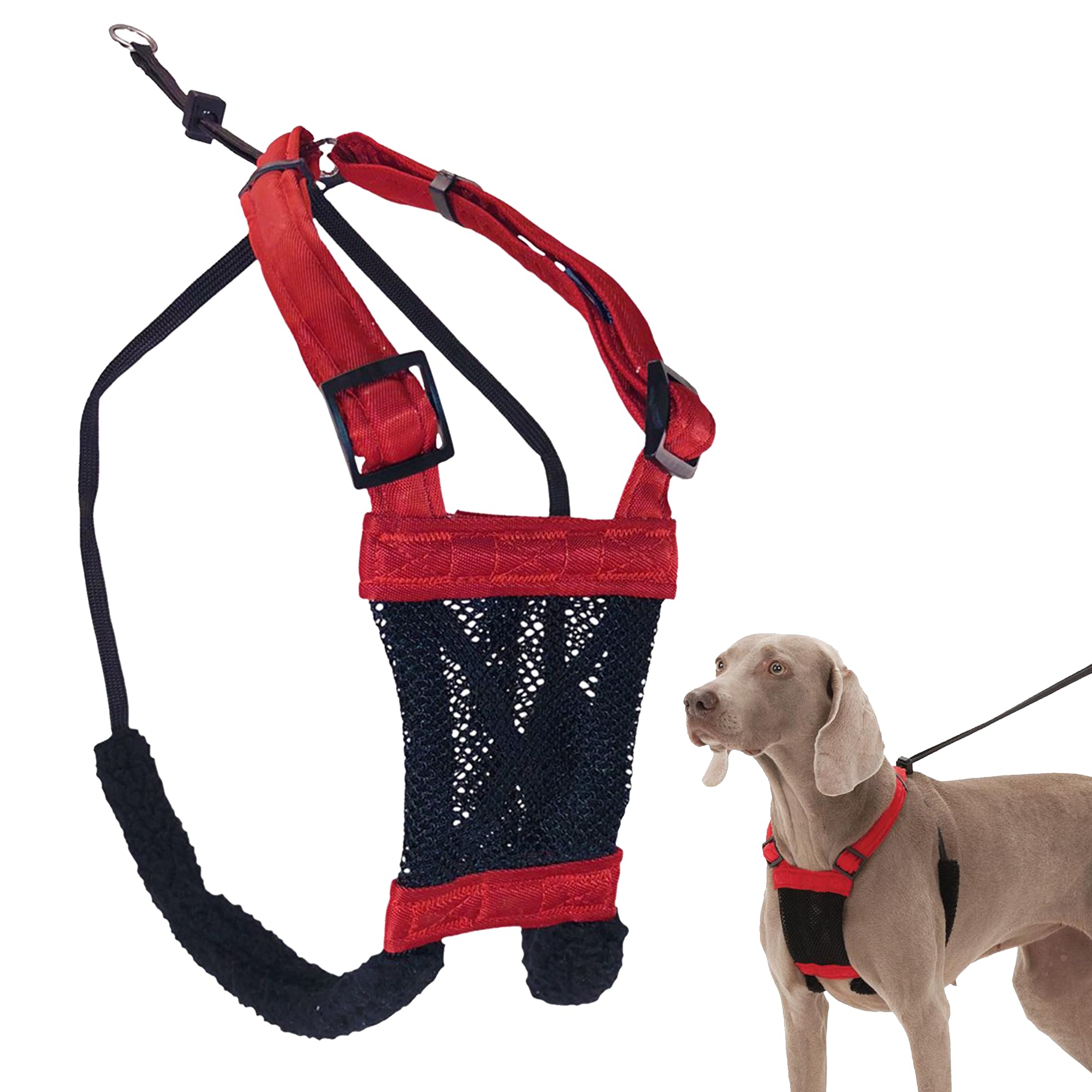 Sporn Mesh — Arnés Sin Jalar y Sin Ahorcar para Perro | Ideal para Entrenamiento