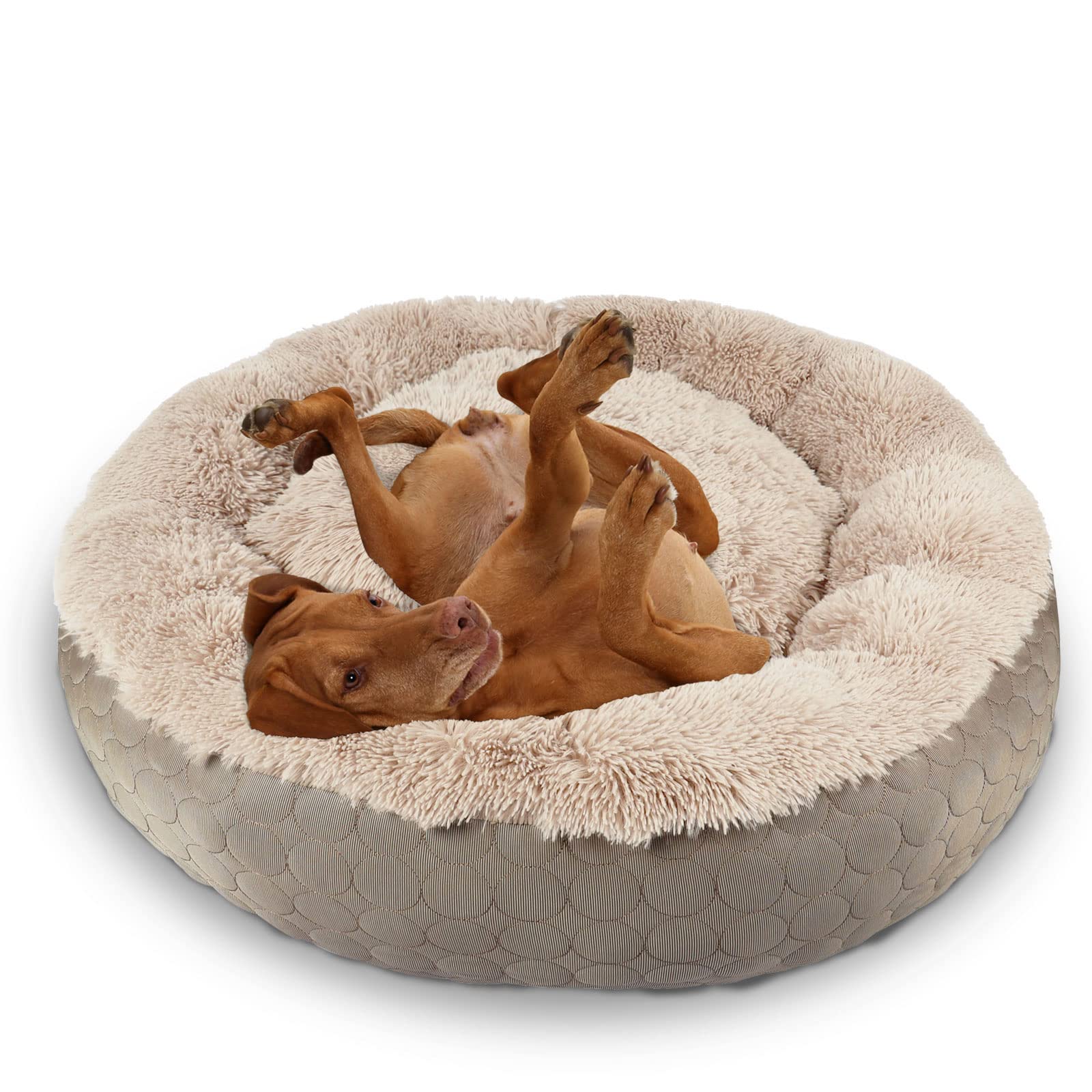 HachiKitty Calming Donut Bed — Cama Redonda y Esponjosa con Lado Frío y Cálido para Perro
