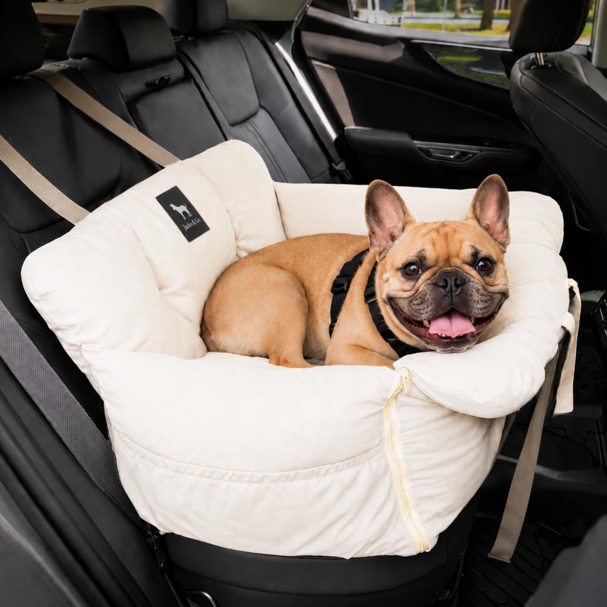 Jacko & Co — Asiento de Auto Premium para Perros Pequeños y Cachorros con Correa de Seguridad, Bolsillos de Almacenamiento y Funda Lavable a Máquina