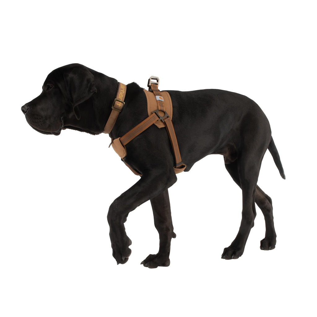 Carhartt Nylon Duck — Arnés de Entrenamiento con Doble Punto de Sujeción para Perro