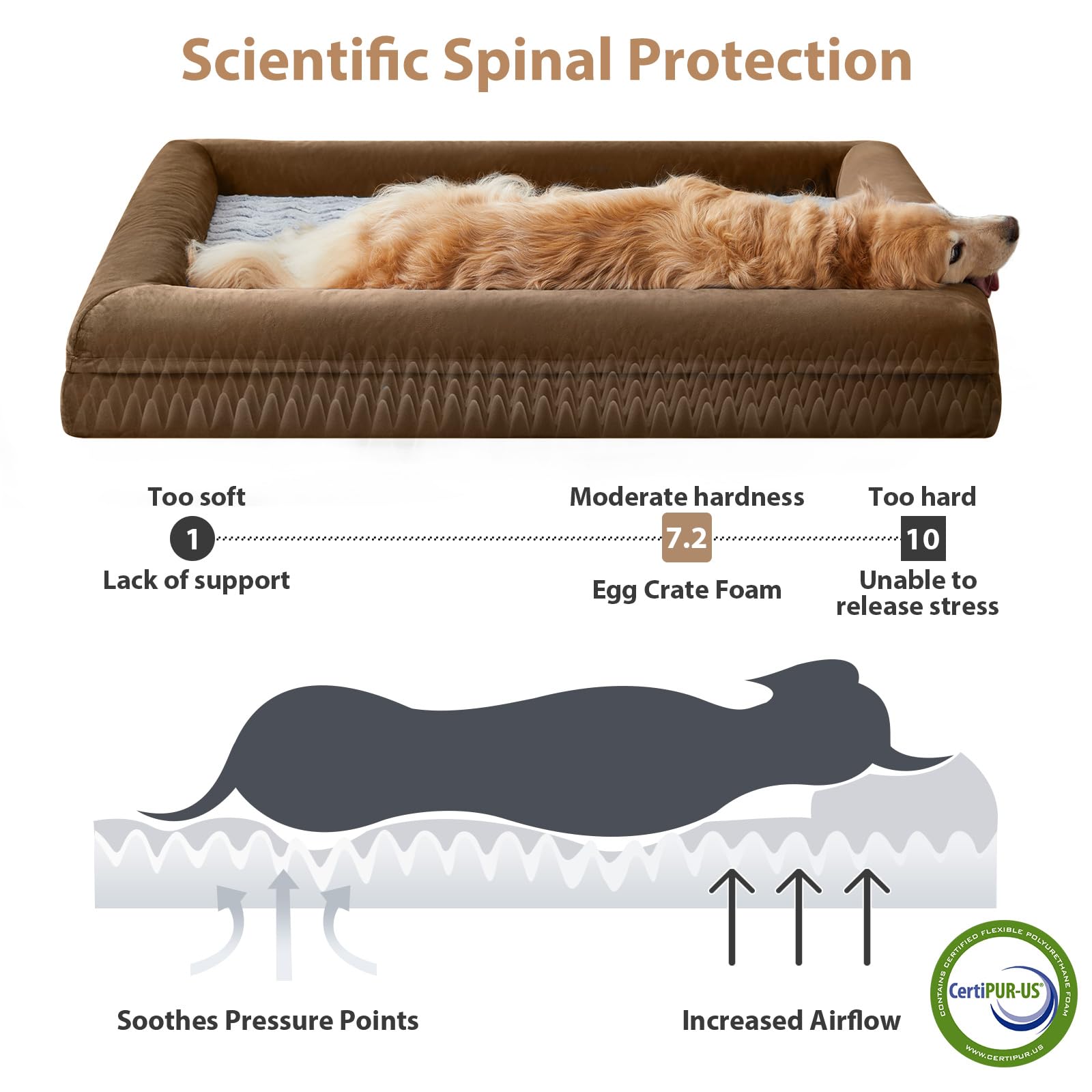 WNPETHOME — Cama Ortopédica Sofá para Perro XL con Cubierta Extraíble Impermeable y Bordes Acolchados