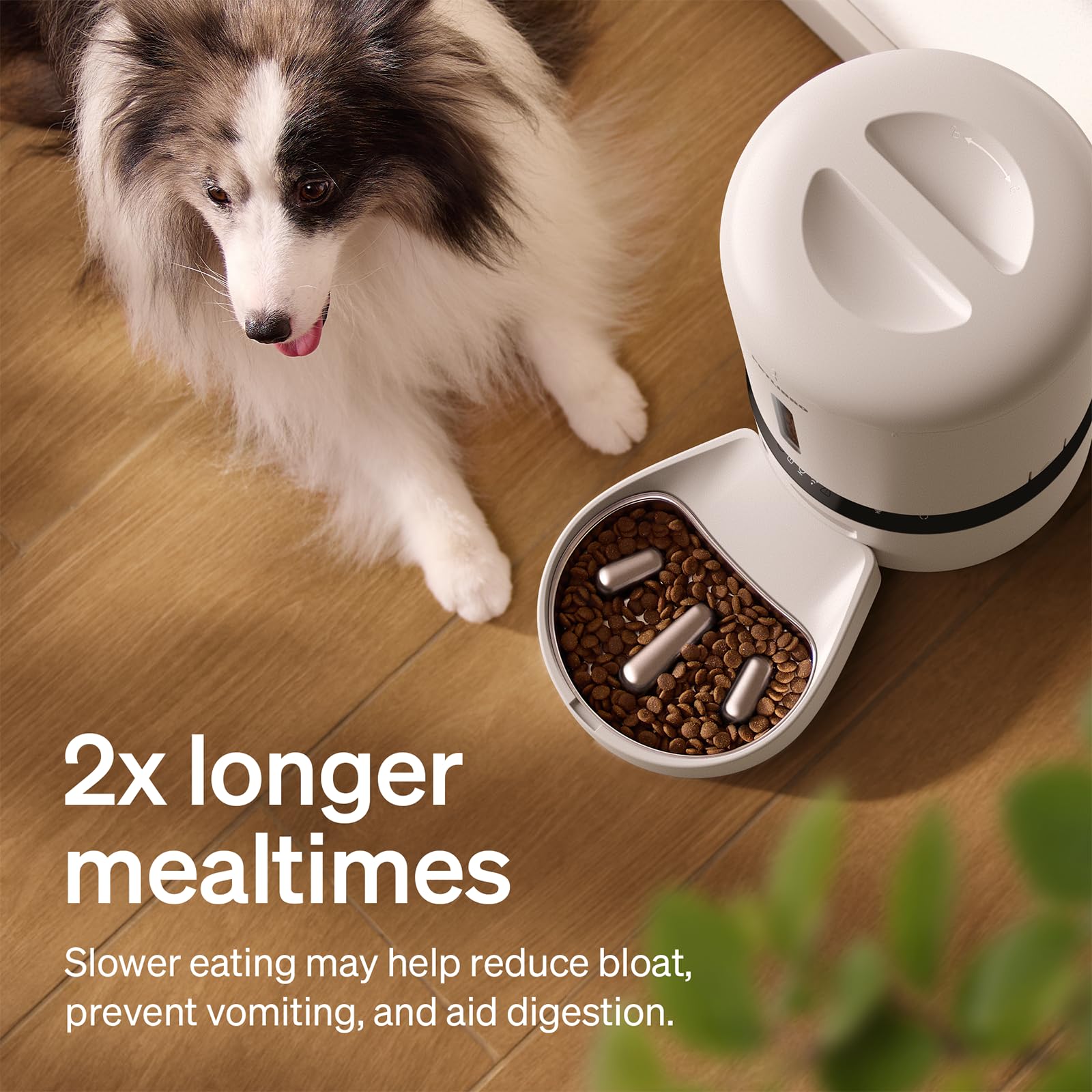 PETLIBRO — Comedero Automático WiFi 5G con Dispensador de Alimento para Gatos y Perros, 5L, hasta 10 Comidas por Día y Sensor de Alimento Bajo