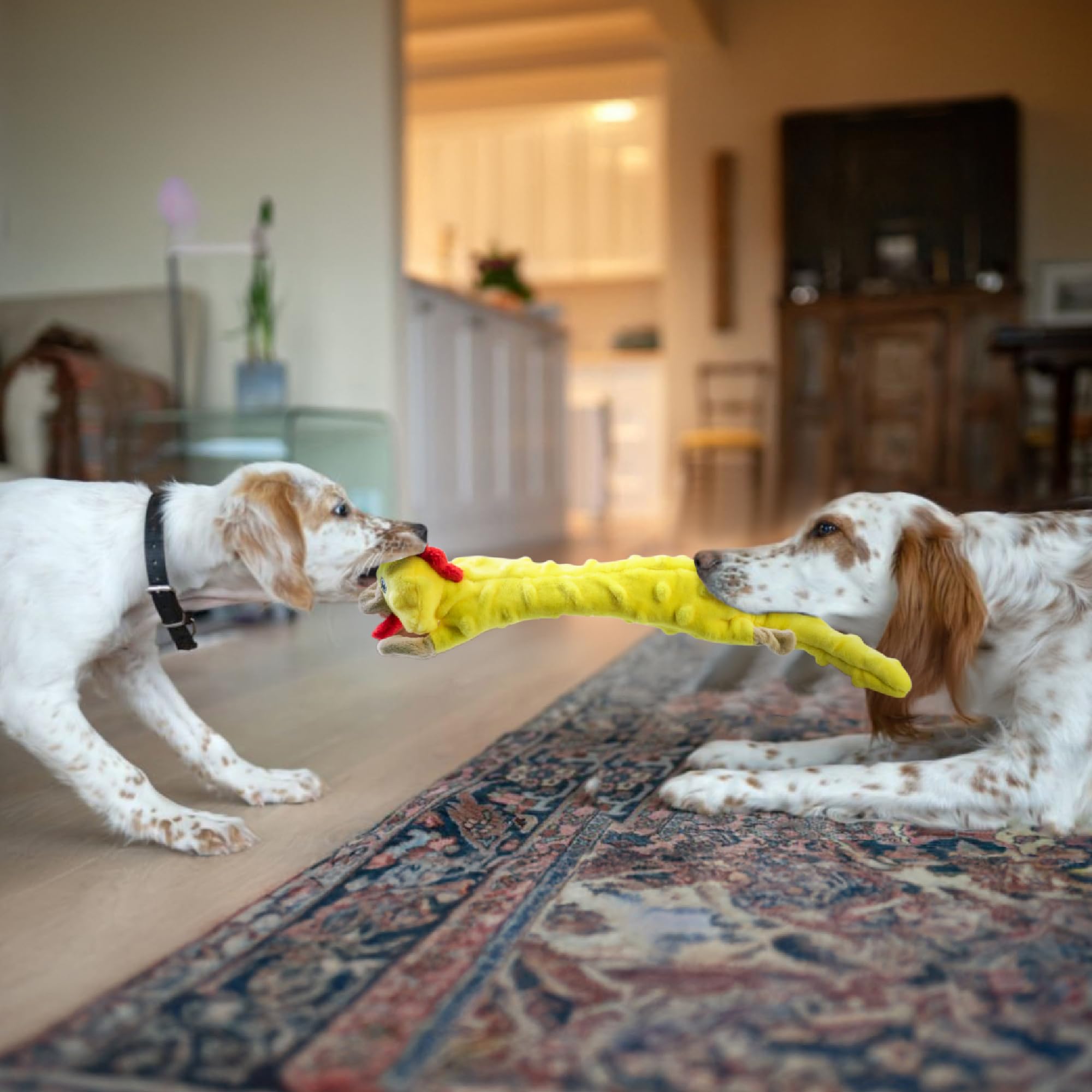 SHARLOVY Bubble Plush — Juguetes de Peluche Chirriantes y Crujientes sin Relleno para Perro