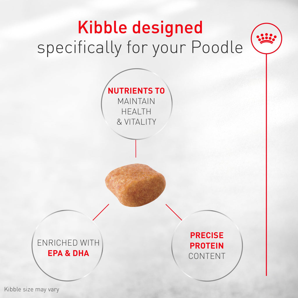 Royal Canin Breed Health Nutrition Poodle Adult — Croquetas para Perro Adulto Raza Caniche