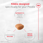 Royal Canin Breed Health Nutrition Poodle Adult — Croquetas para Perro Adulto Raza Caniche