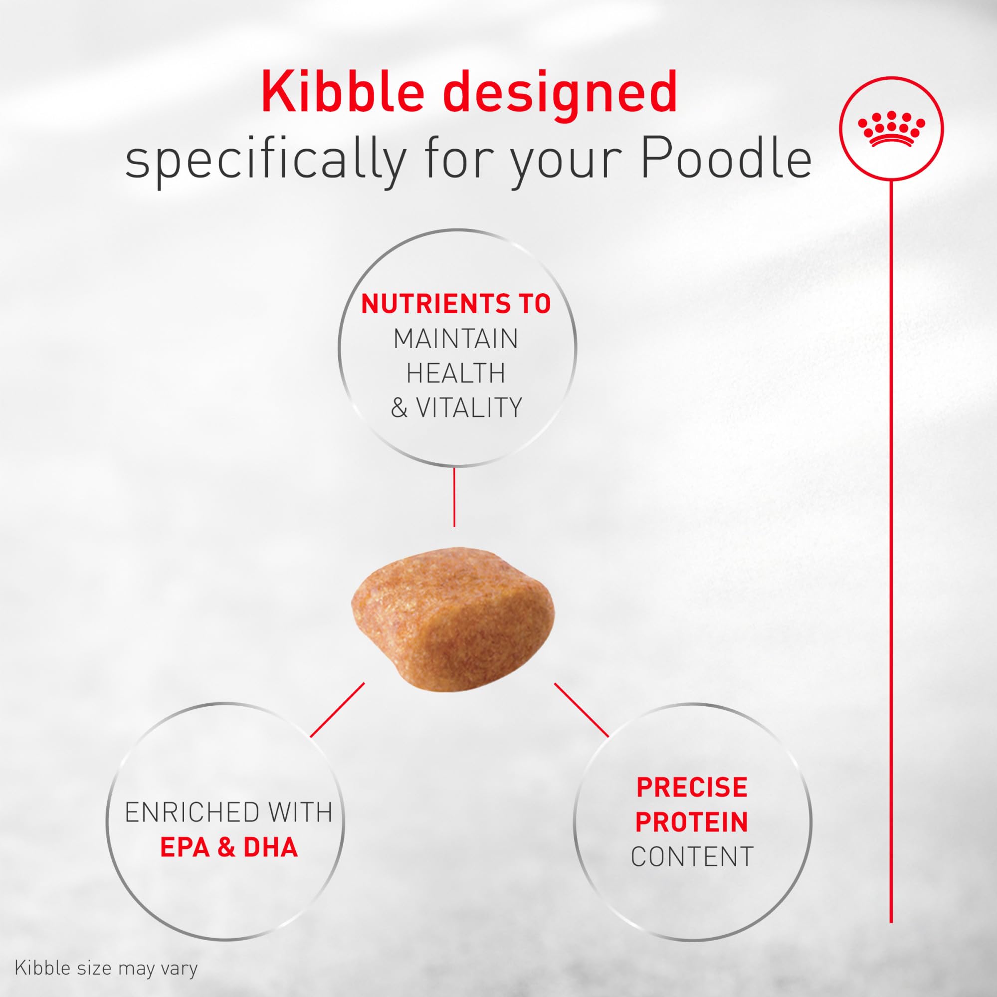 Royal Canin Breed Health Nutrition Poodle Adult — Croquetas para Perro Adulto Raza Caniche