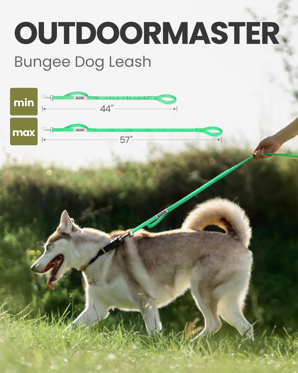 OutdoorMaster Bungee — Correa Elástica con Doble Mango Acolchado y Mosquetón 360° para Perro