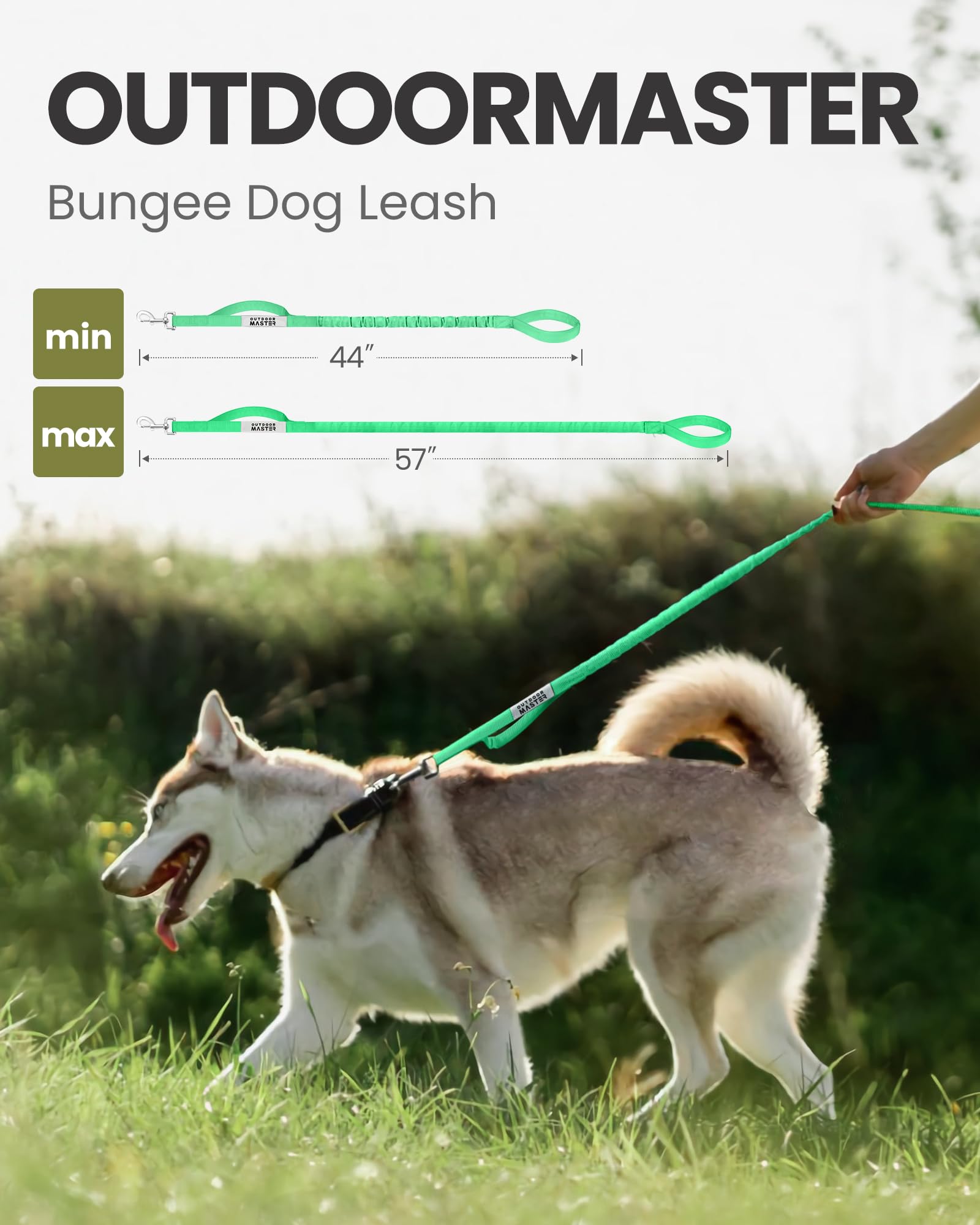 OutdoorMaster Bungee — Correa Elástica con Doble Mango Acolchado y Mosquetón 360° para Perro