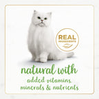 Fancy Feast Purina Medleys — Alimento Húmedo Gourmet para Gatito