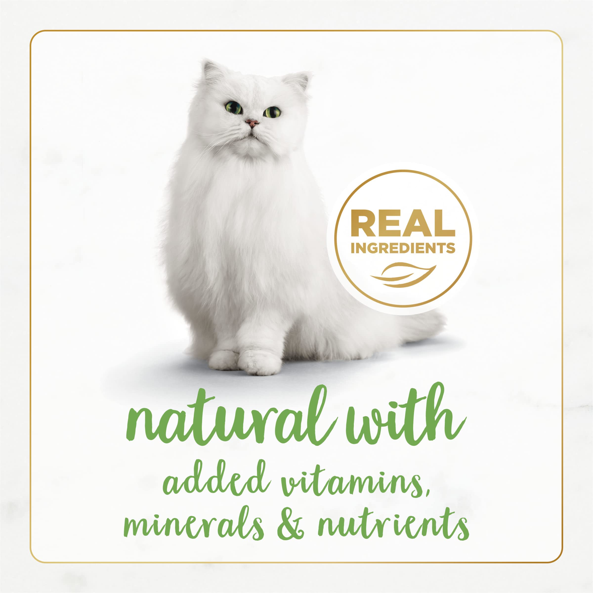 Fancy Feast Purina Medleys — Alimento Húmedo Gourmet para Gatito