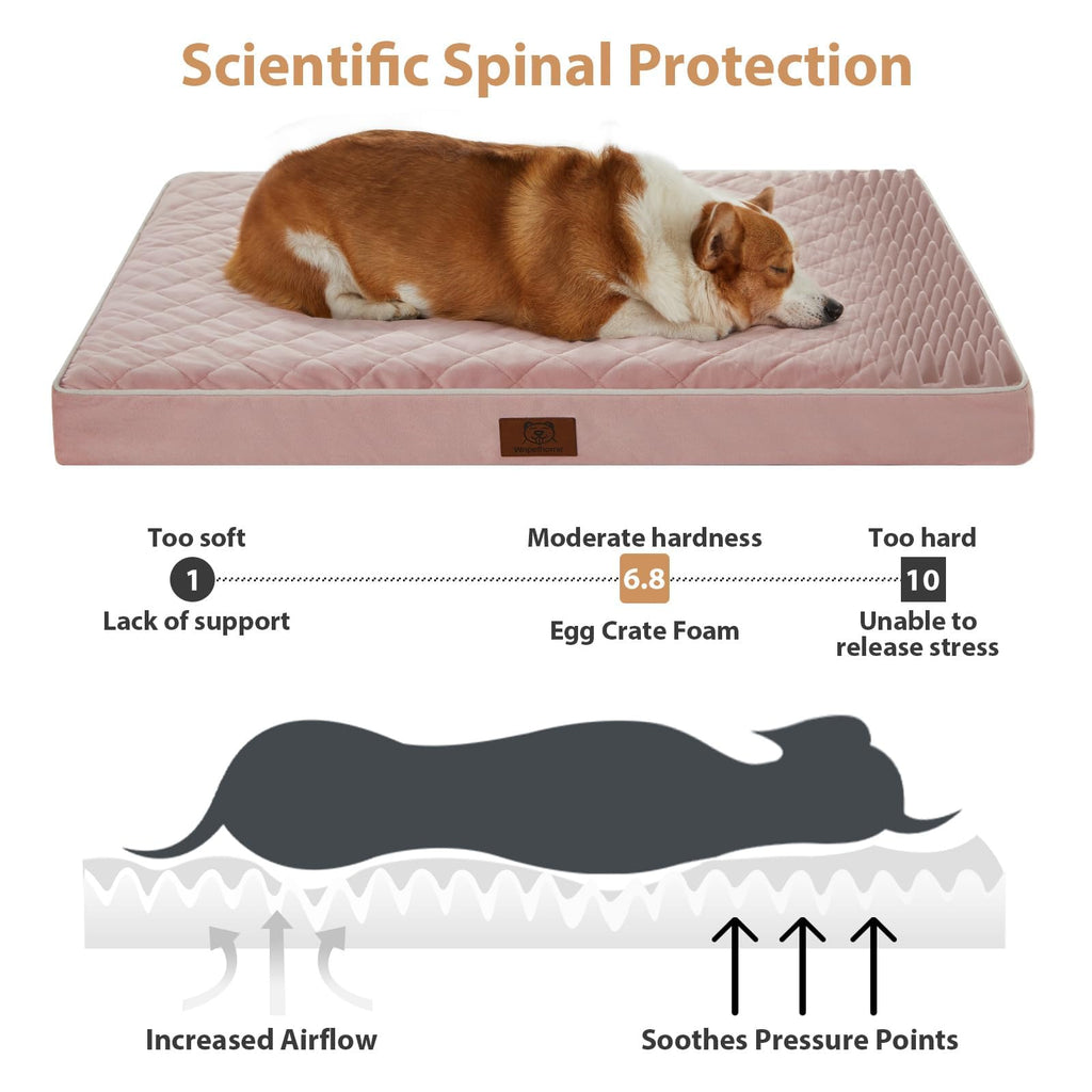 WNPETHOME — Cama Ortopédica Impermeable con Funda Lavable y Base Antideslizante para Perro