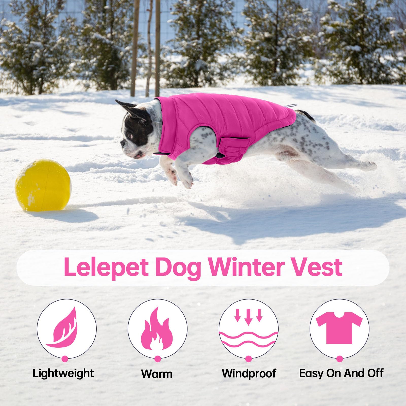 Lelepet — Chamarra Reversible Acolchada para Perro, Resistente al Viento y Agua, para Perros Pequeños