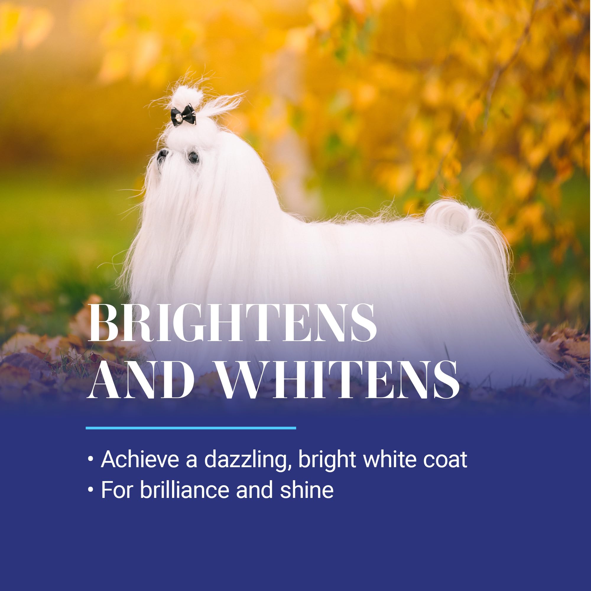 Chris Christensen White on White — Shampoo Blanqueador y Tratamiento Óptico Intensificador para Perros