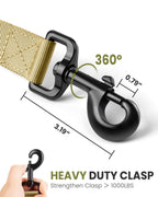 OutdoorMaster Bungee — Correa Elástica con Doble Mango Acolchado y Mosquetón 360° para Perro