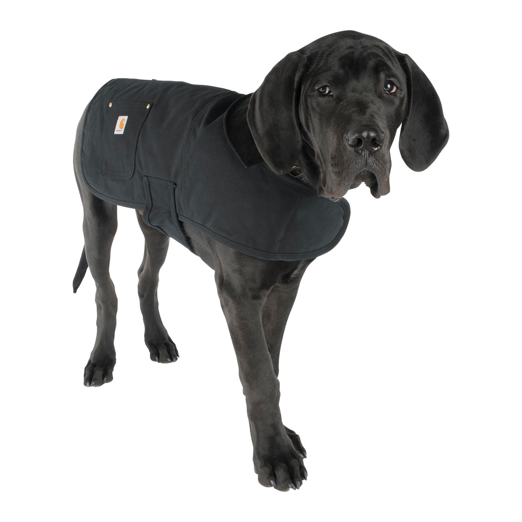 Carhartt Firm Duck — Abrigo Impermeable Acolchado para Perro, Resistente al Viento y Frío