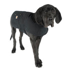 Carhartt Firm Duck — Abrigo Impermeable Acolchado para Perro, Resistente al Viento y Frío