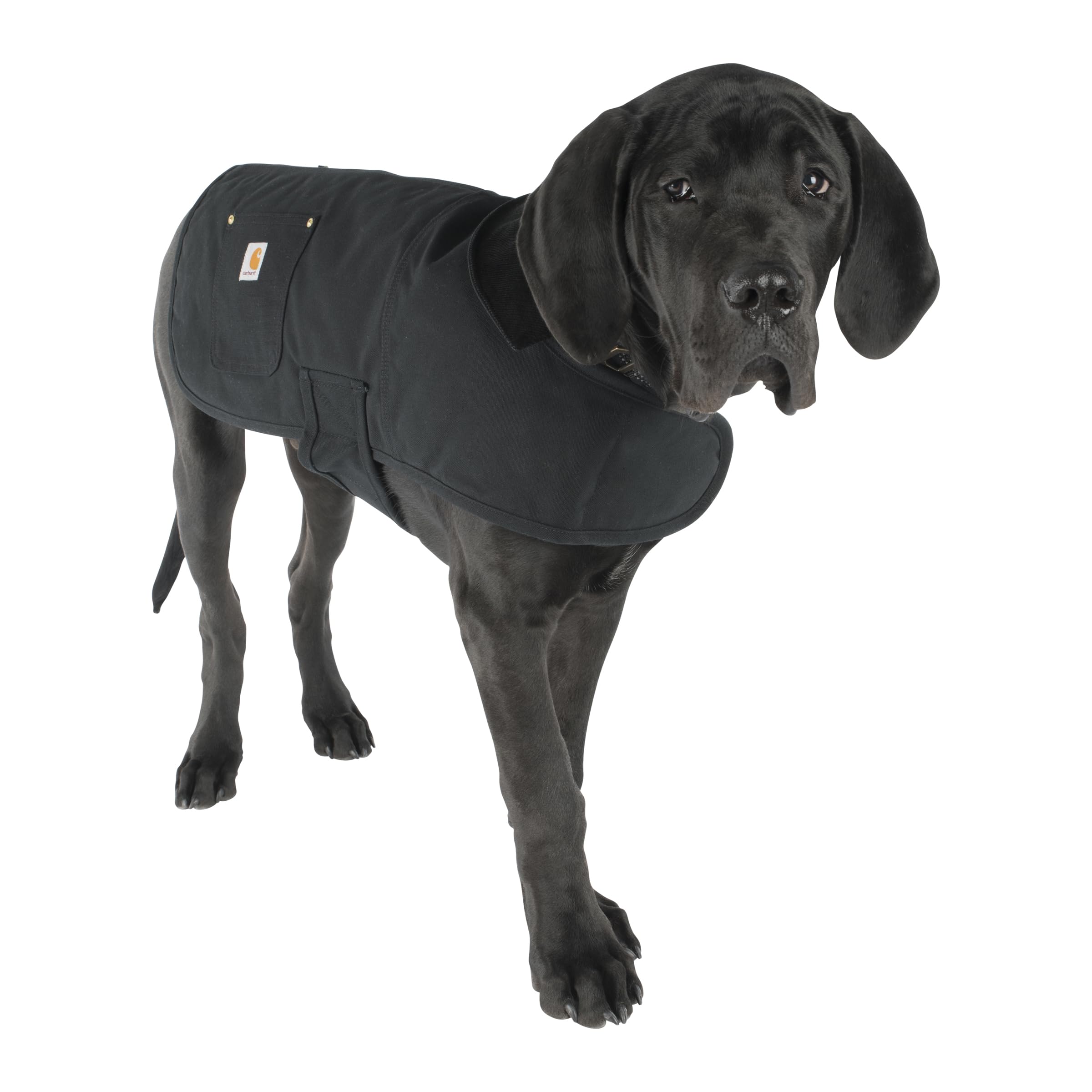 Carhartt Firm Duck — Abrigo Impermeable Acolchado para Perro, Resistente al Viento y Frío