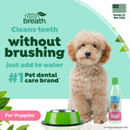 TropiClean Fresh Breath — Aditivo Dental para Agua, Limpieza de Dientes y Aliento Fresco para Perros