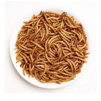 Amzey Gusanos de Harina Deshidratados — Alimento Natural Alto en Proteína para Pollos, Aves, Peces, Tortugas, Patos y Reptiles